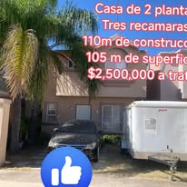 Casa de dos plantas con palmera al frente