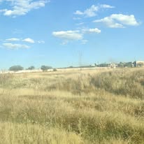 Sendero entre pastizales hacia naves industriales